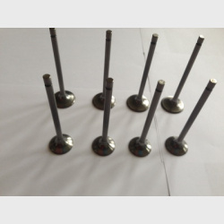 Exhaust valve kit PN CB500/550EV4E